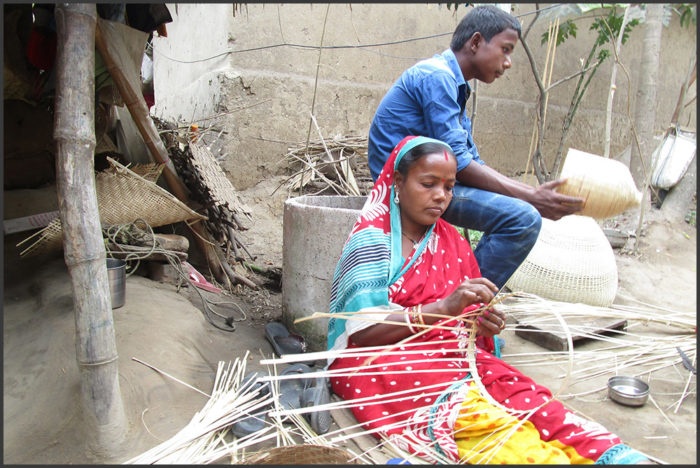 Sustainable Livelihoods For Haldipada Bamboo Artisans - All India 